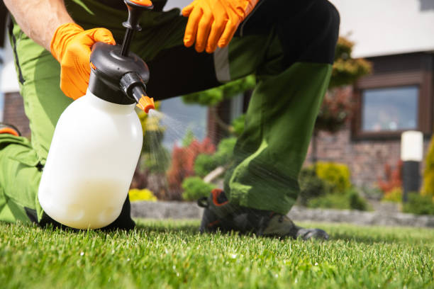 Best Pest Inspection Near Me  in Pittsfield, MA