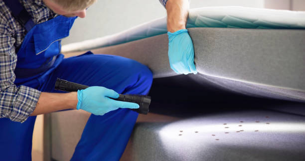 Best Exterminator Services  in Pittsfield, MA