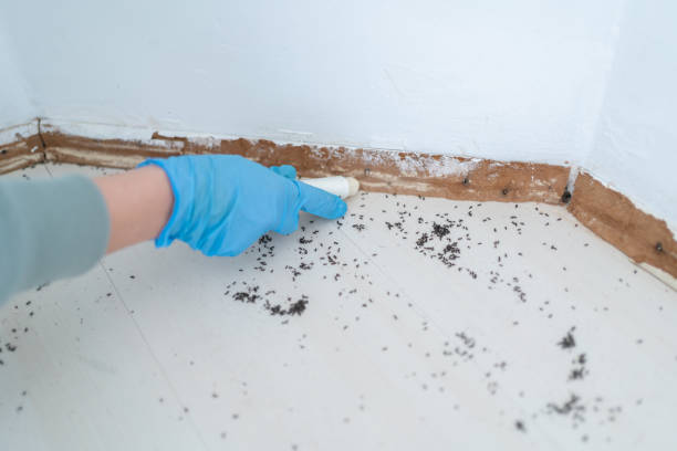 Best Emergency Pest Control  in Pittsfield, MA