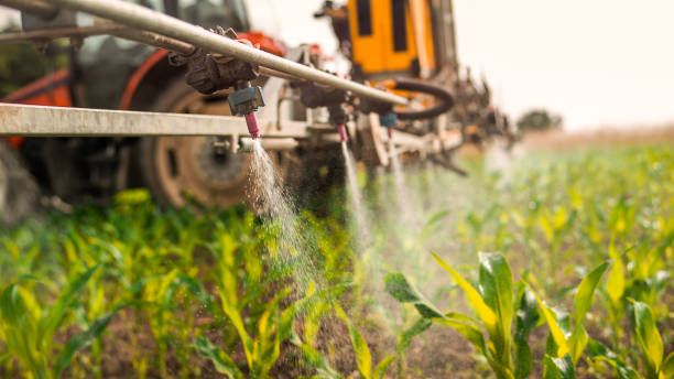 Best Commercial Pest Control Services  in Pittsfield, MA
