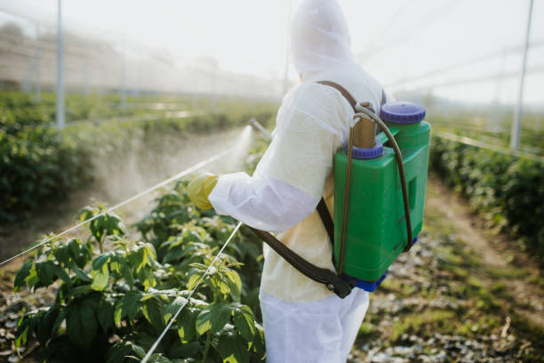 Best Pest Control Near Me  in Pittsfield, MA